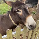 Prázdninový dům Quinta De Souto Velho