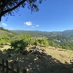 Quinta De Souto Velho Prázdninový dům Terras de Bouro