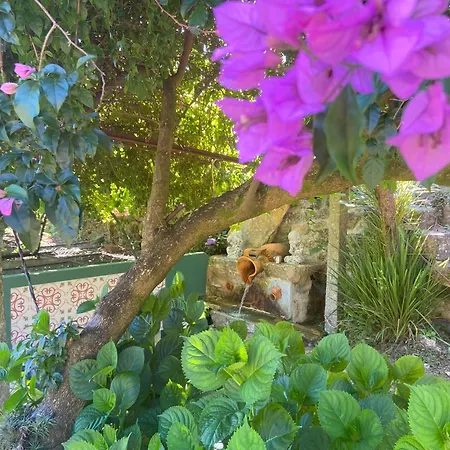 Quinta De Souto Velho *