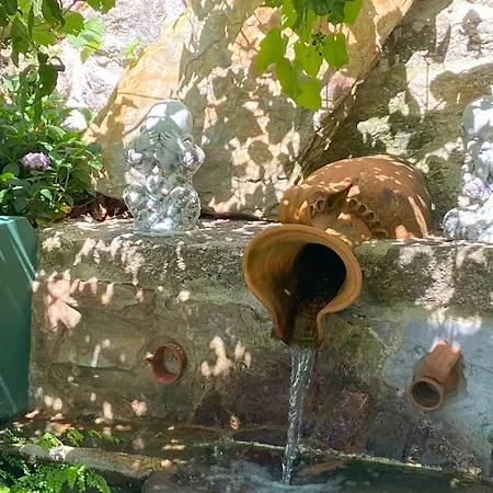 Quinta De Souto Velho Prázdninový dům