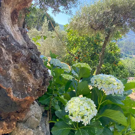 Holiday home Quinta De Souto Velho *