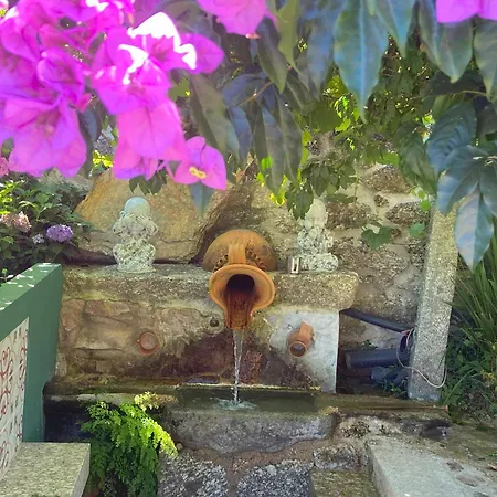 Quinta De Souto Velho Prázdninový dům *