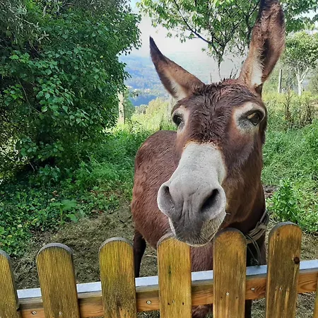 Quinta De Souto Velho Prázdninový dům Terras de Bouro